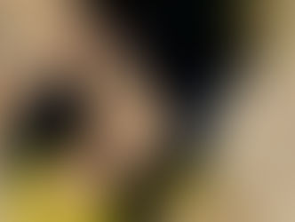‘Musa da Alvorada’ e dois cúmplices são presos com 30 quilos de maconha pela Seai