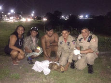 Cachorro é atropelado, cai em igarapé e é salvo por Corpo de Bombeiros