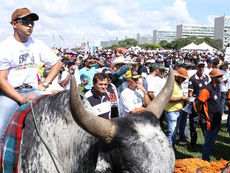 Audiência pública sobre vaquejadas tem tumulto e bate-boca