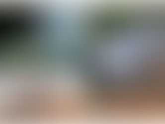 Acidente entre ônibus e caminhonete deixa 3 crianças mortas e 8 feridos na AM-010