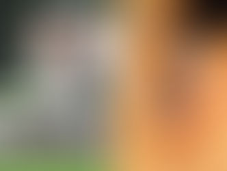 Irmãos animais de outras mães