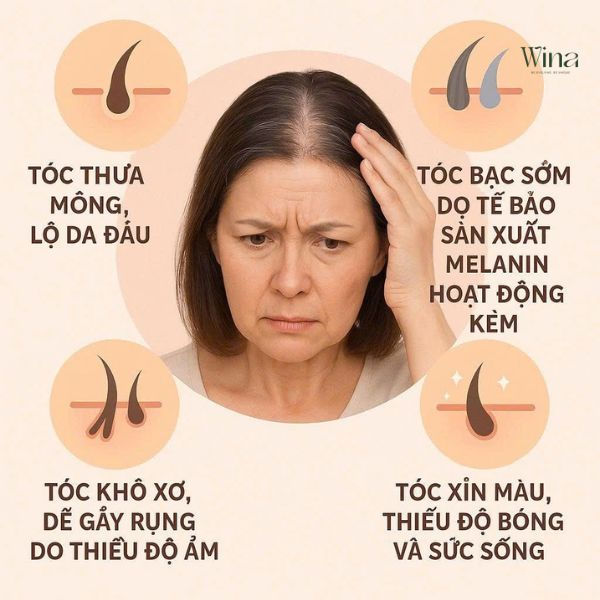 Các vấn đề về tóc mà các bạn thường gặp khi bước vào độ tuổi trung niên