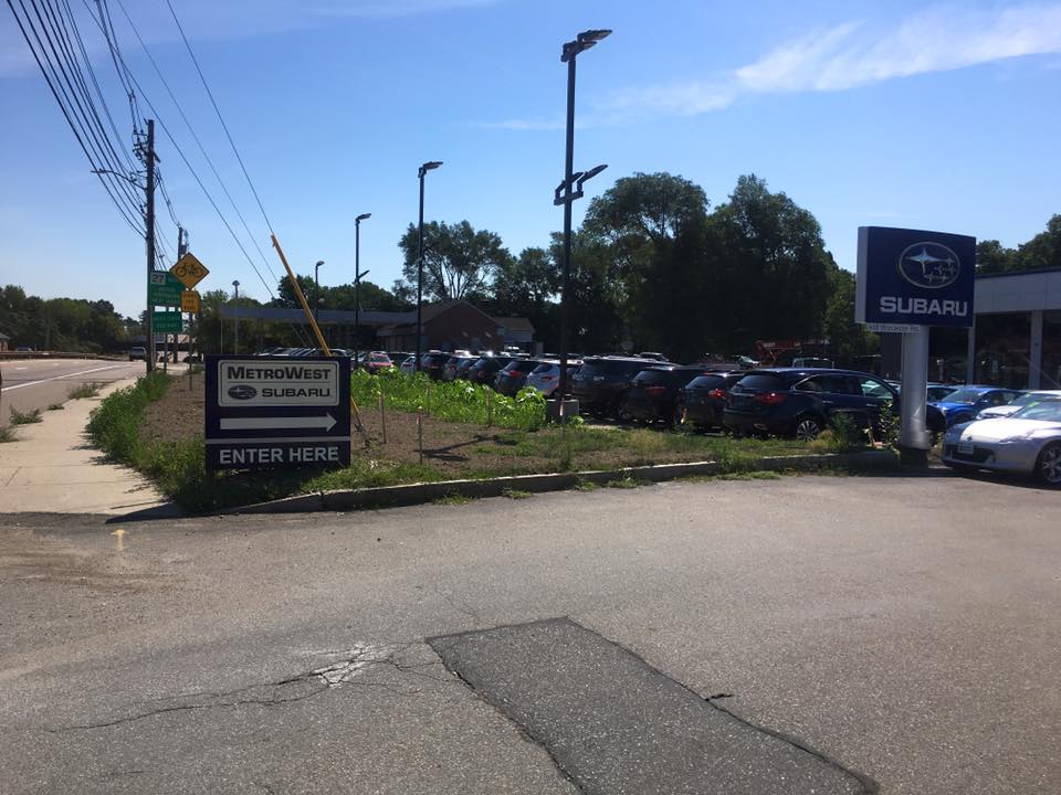 Metro West Subaru