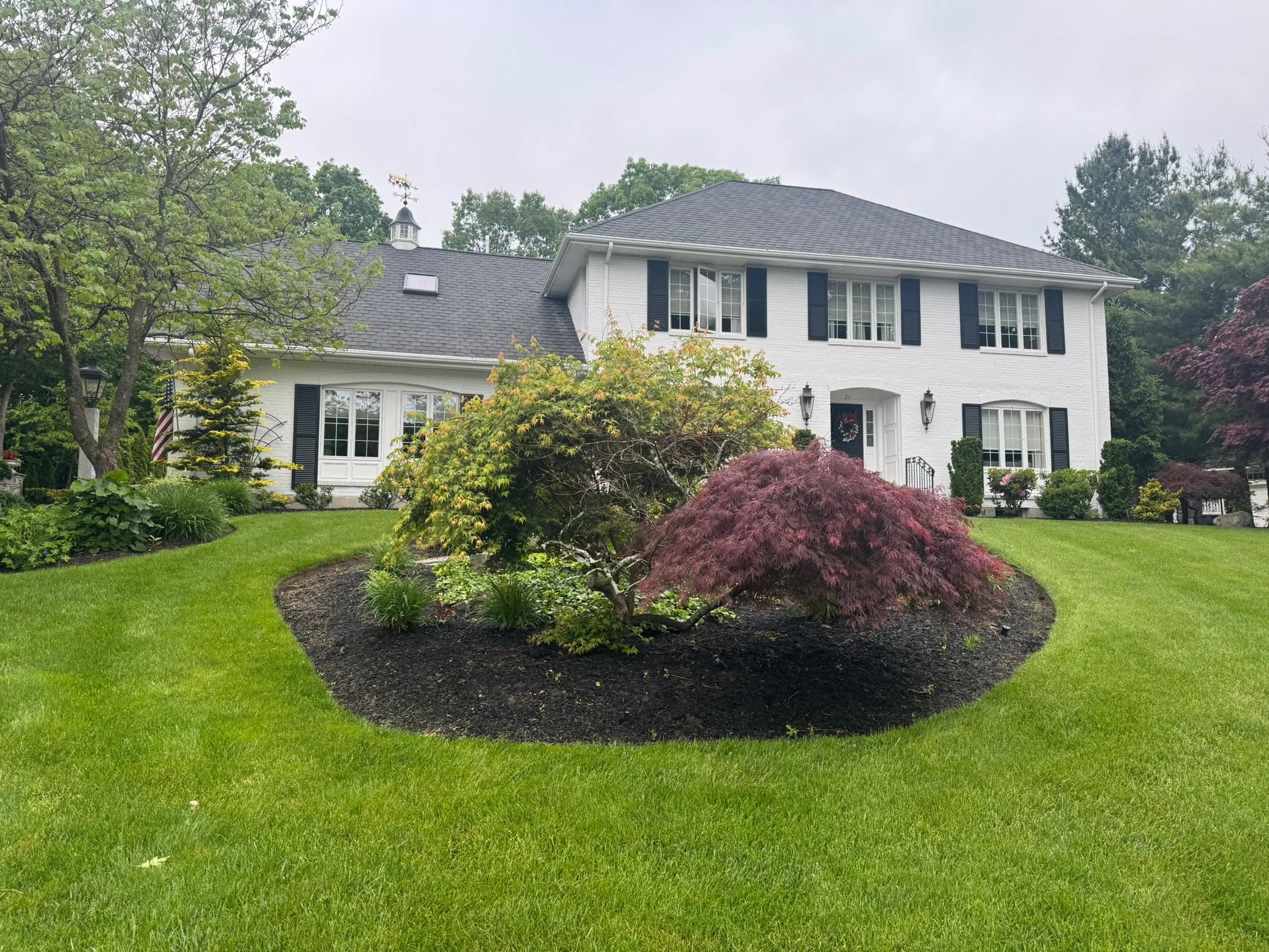 Old Colony Drive front landscape transformation