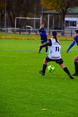 PHOTO-2024-11-24-16-15-14 2