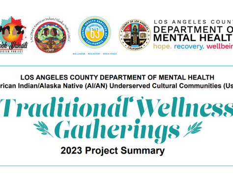 Traditional Wellness Gatherings 2023 Project Summary