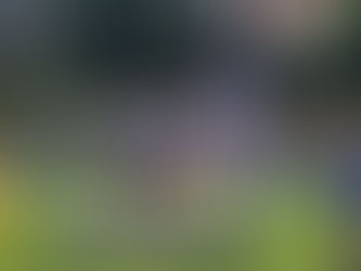 Dag två och två medaljer på USM 15 i Sollentuna.