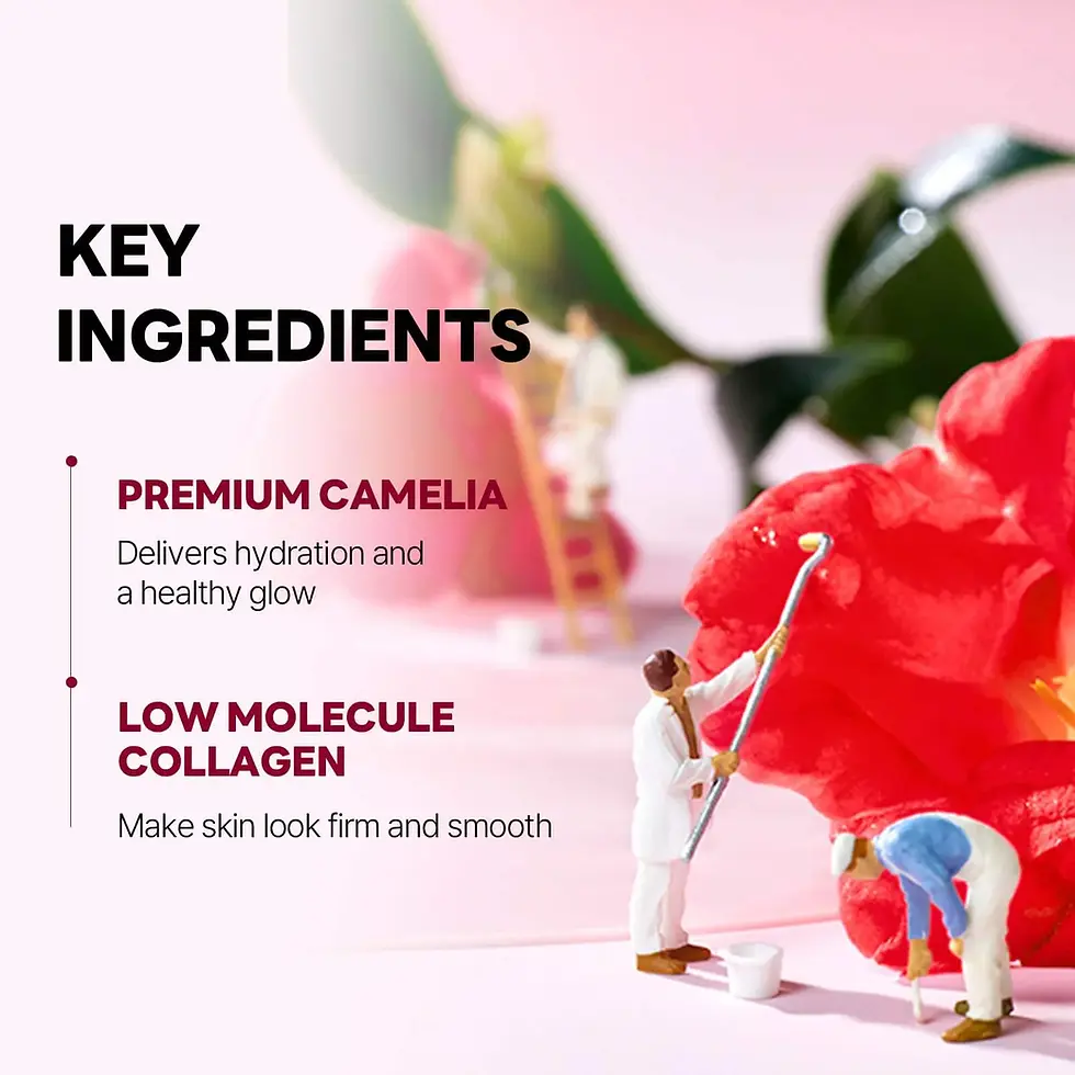 Thumbnail: [Round Lab] Camellia Deep Collagen Firming Gel