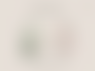 Conflicts in Couples: When Mars Meets Venus