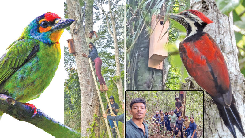 සුළි කුණාටුවෙන් සෙවණ අහිමි වූ කුරුල්ලන්ටත් ගෙවල්