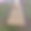 Thumbnail: Chicken Arks