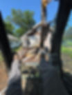 IMG_0182.jpeg