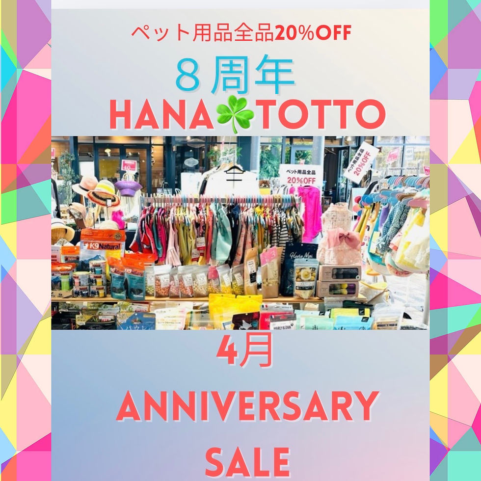 HanaTotto８周年記念イベント
