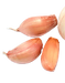 alho.png