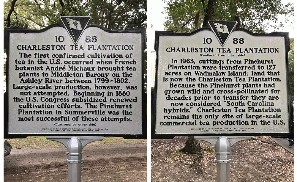 Charleston Tea Plantation sign