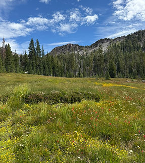 panther meadows 2.jpeg