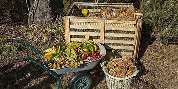 tips-garden-clearance-london-768x384.jpg