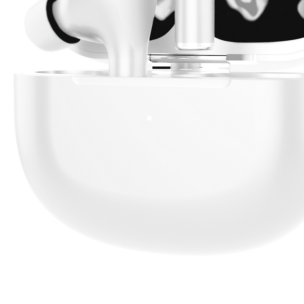 Miniatura: ZOUNDBUDS