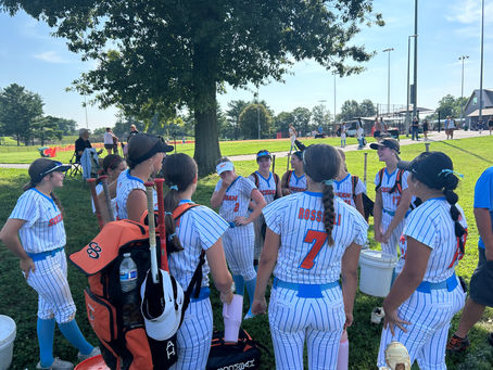 Pegasus Summer Showcase
