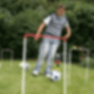 Croqkickopt.gif