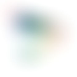 סקירה מלאה - לדגיר ננו 