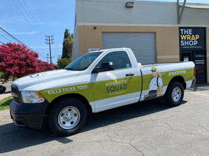 Truck Branding