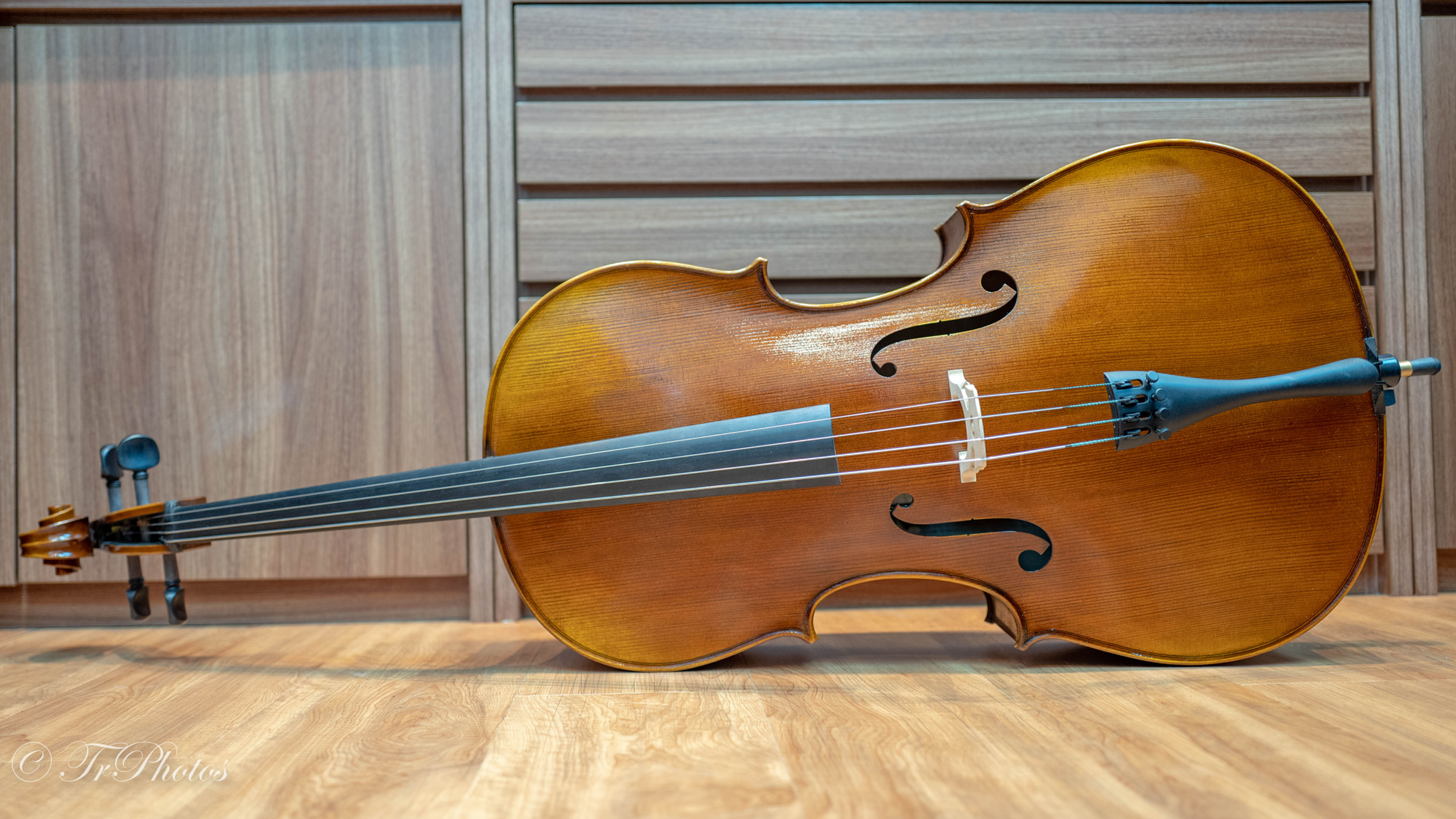 VC500 Handcrafted Intermediate Level Cello
