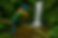 bird with waterfall ai.png
