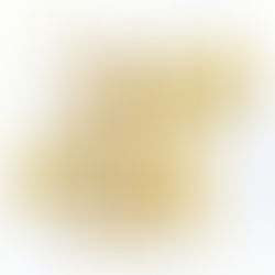 Join the Rooted and Sent Bible Study and Podcast Journey (2026) from PowerHouse Momma Ministries