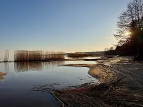 ežero pakrantė anksti ryte, geštalto kelias