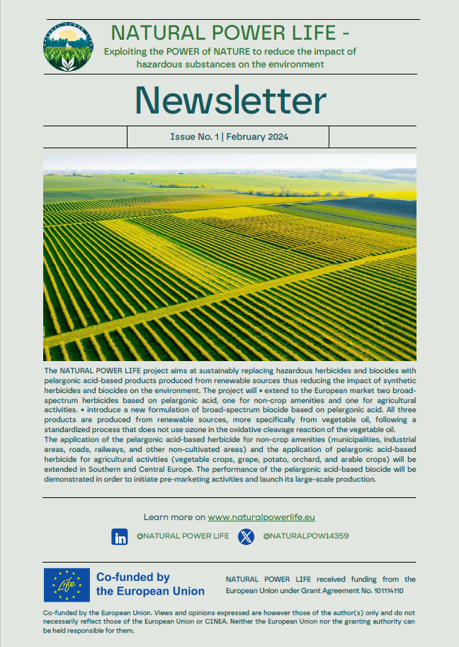 Newsletter No1