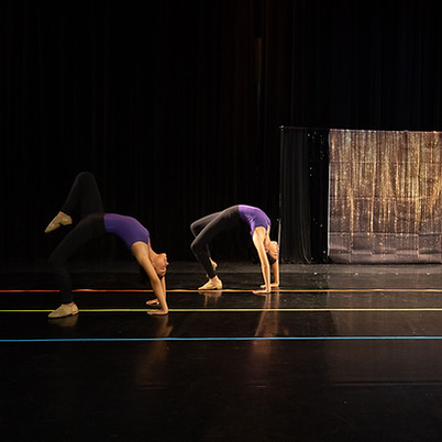 Acro Purple Performance