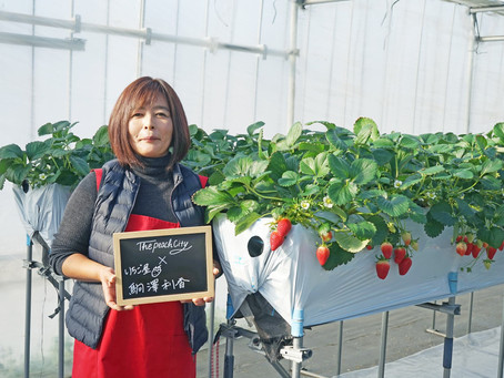 “Strawberries we grow from seedlings are like our kids”Cuter and tastier - A loving farmer’s journey