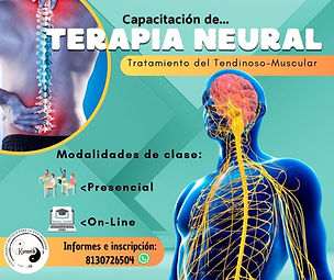 Terapia Neural on line y presencial.jpg
