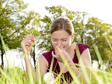 Homeopathy for Hay Fever