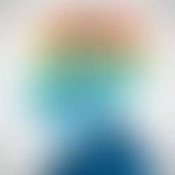 WHY IS A B-BBEE PROCESS TIME CONSUMING? WHERE IS MY B-BBEE CERTIFICATE??