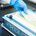 making-capsules.jpg