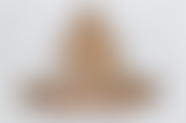 Edward Dillon "Operation Avalanche"