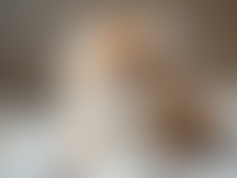 Understanding the Costs of Persian Kittens