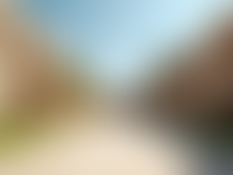 Exploring International Education Pathways.