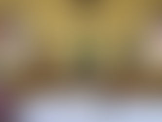 Daily mass 9.30 am, Monday 3rd August