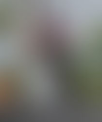 Silver linings post doc visit