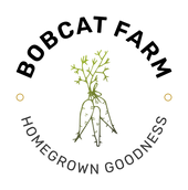 logo-transparent-png.png