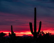 2101 s4 Tucson Sunset by Dennis Carlson.jpg