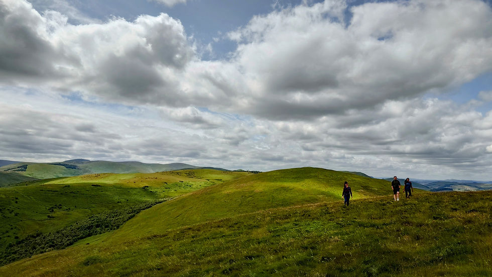 Coldsmouth Hill, Staw Hill, Longknowe Hill and Killham Hill (10mi, 2500ft, moderate)