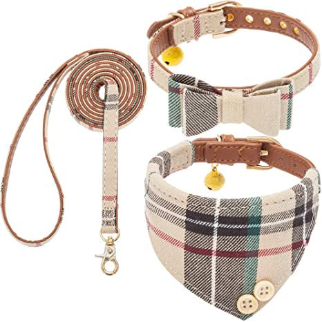 Correa y collar de verano.