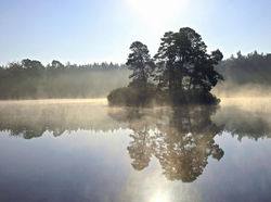 Henley Park Lake, Surrey