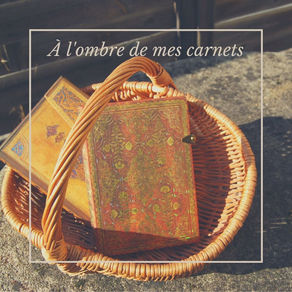 À l’ombre de mes carnets