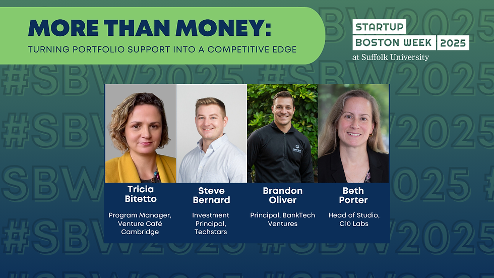 Beyond the Check: How Investors Create Real Startup Value