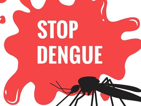 Assist in 🦟 prevention